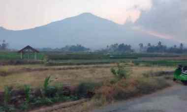 Tanah Dijual di Sembawa jalaksana kuningan