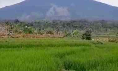 Tanah Dijual di Rando bawa girang kec. mandirancan