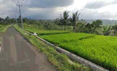 Dijual Tanah View Gunung Sawah Pinggir jl