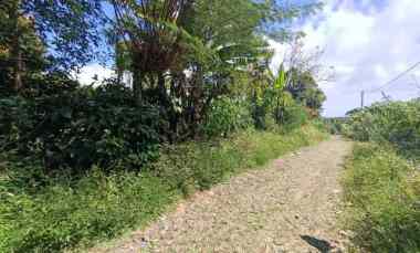 Tanah View Lembah di Wanagiri dekat Munduk dan Bedugul