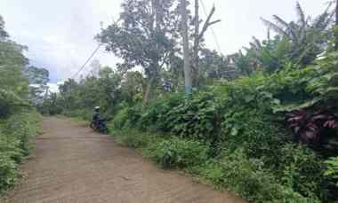 Tanah di Wanagiri Singaraja dekat Altavista Bali Mountain Villa