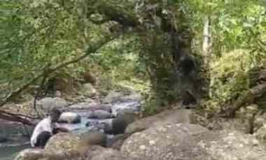 dijual tanah wanagiri kauh selemadeg