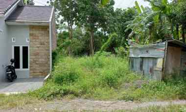 dijual tanah wanamukti