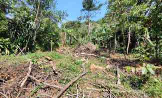 Jual Tanah Cocok Ditanami Manggis Durian di Wanayasa Purwakarta