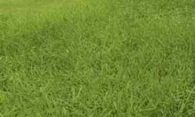 Kavling Tanah Lokasi Waterfront Citraland Surabaya Barat Row 25 Mob