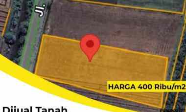 Tanah Dijual di Watudakon, Kesamben, Jombang