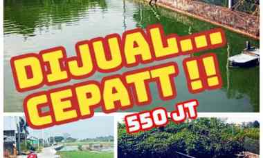 Dijual Tanah Kolamikan 2000m2 Janti Klaten Kolam Dijual Cepat 550jt