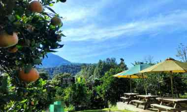 Rumah Villa Kebun Jeruk Luas View Keren di Lembang Kota Bandung