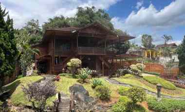 Villa Kayu Bernuansa Alami di Cugenang Cianjur, Cocok Buat Healing