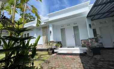 For Sale Beautiful 3-Bedroom Villa With Jungle View in Lovina, Bali