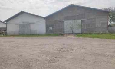 Komersial Disewakan di Tembung