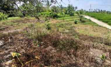 Disewakan Lahan Murah dengan View Sawah Terasering