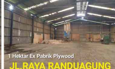 disewakan ruko gudang kantor jalan raya randuagung