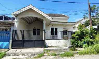 disewakan rumah darmo indah baru renovasi