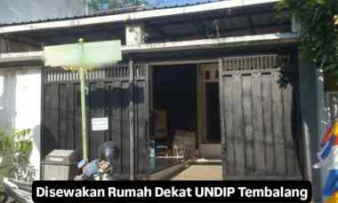 Disewakan Rumah dekat Undip Tembalang