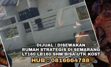 disewakan rumah jl semarang indah b vi 12