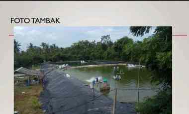 disewakan tambak siap pakai di negara jembrana bali