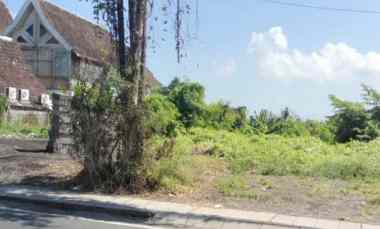 Tanah Disewakan di Babakan Canggu