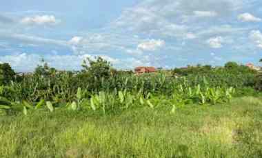 disewakan tanah banjar semer kerobokan