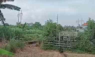 Dikontrakan 5,6716 are, jl. Bypass Ngurah Rai Padang Galak Sanur Dpsr