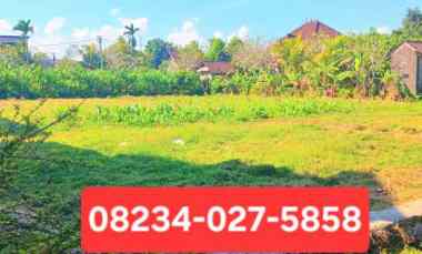 disewakan tanah darmasaba badung bali