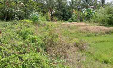 Di Sewakan Tanah Kering View Sawah dan Laut Berlokasi di Pantai Balian