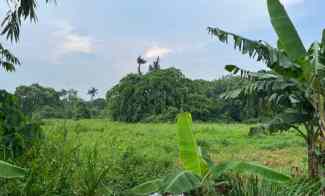 disewakan tanah di japos paninggilan tangerang