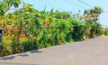 disewakan tanah jalan bina kesuma ubung