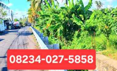 Dikontrakkan Tanah 350 m2 jl Cekomaria Peguyangan Denpasar Bali