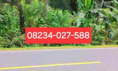 Disewakan Tanah 1500 m2 jl Padangbai Antiga Manggis Karangasem Bali