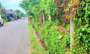 Disewakan Tanah 5480 m2 jl Sekar Sari Denpasar Bali dekat Sanur