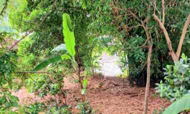 disewakan tanah jalan sekar sari denpasar bali