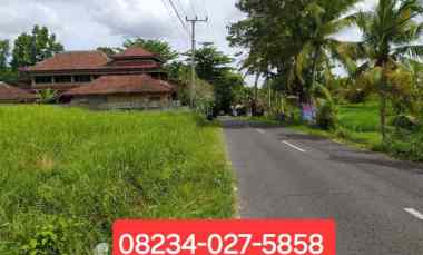 Disewakan Tanah di Area Kaba - Kaba Tabanan Bali dekat Seseh,Munggu