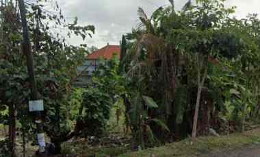 Dikontrakan 20,3 are, jl. Raya Waribang Kesiman Petilan Denpasar