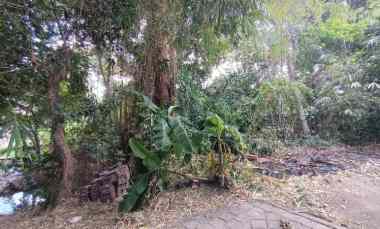 disewakan tanah muding kerobokan bali