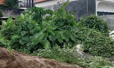 disewakan tanah padang tawang