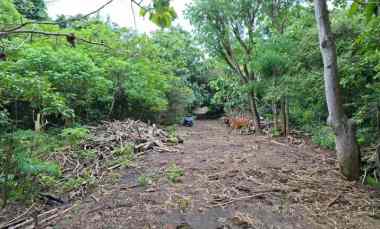 Tanah Disewakan di Pecatu, Badung, Bali