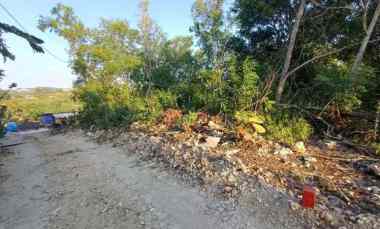 Land For Leasehold Only 500 Meters To Padang Padang Beach