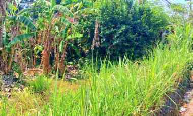 disewakan tanah werdi bhuwana mengwi