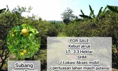 For Sale, Kebun Jeruk Daerah Subang Jawa Barat