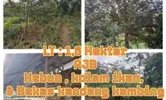 for sale lahan daerah salireja subang jawa barat