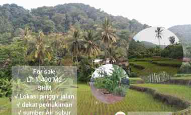 for sale lahan persawahan cijambe subang