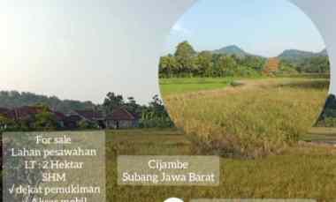 for sale tanah pesawahan cijambe subang jawa barat