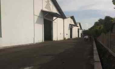 Gudang Manukan Lantai Cor Loss tanpa Sekat