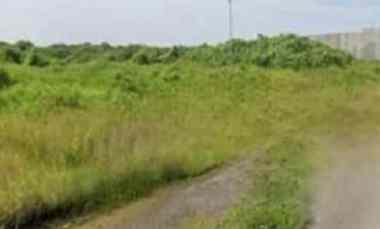 Gunung Anyar Surabaya Timur sudah Urug Siap Bangun