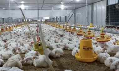 Komersial Dijual di Margomulyo pati