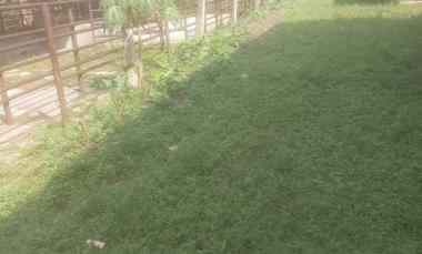 Jual Kandang Sapi di Bogor