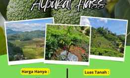 Tanah Dijual di Bandung, Ciwidey, Pangalengan, Cikalong Wetan