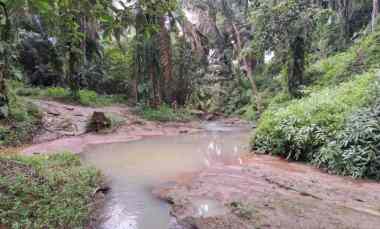 Jual Kebun Sawit di Talun Kenas 9,2 Ha SHM O8I3-II6I-I4I