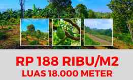 jual lahan kebun produktif alpukat